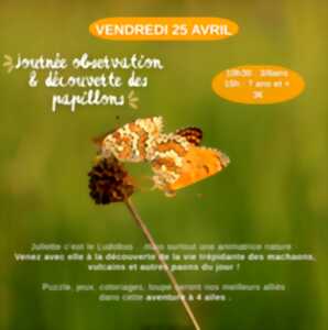 Journée observation et découverte des papillons