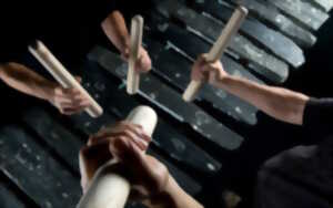 photo Performance d'art basque