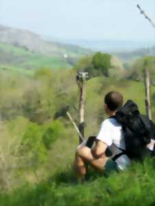 photo Marche 5/10 KM