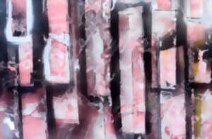 photo Exposition | Guylaine BISSON - Peinture