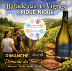 photo Balade gourmande et solidaire dans les vignes