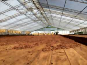 Atelier Découverte Parent-Enfant