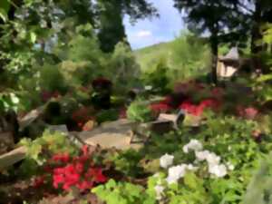 photo Rendez-vous aux jardins - Le Jardin Mil'feuilles