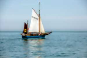 photo Balade en mer à bord du MilPat