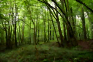 photo Fête de la nature au Domaine de Bois-Gérard
