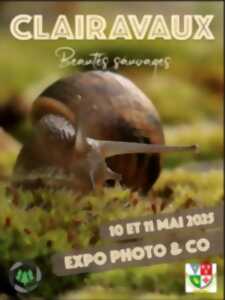 photo Expo photo & co 