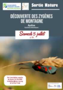 photo Sortie nature - découverte des zygènes de montagne