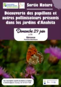 photo Sortie nature - valorisation des papillons et autres pollinisateurs présents dans les jardins d'Anahita