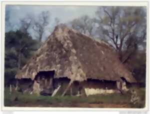 photo Bergeries des Landes de Gascogne