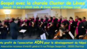 photo Concert Gospel avec la chorale Cluster de Lèves