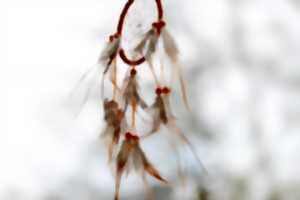 photo CHANTS ET MANTRAS SACRÉES