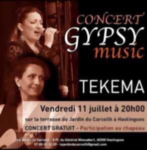 photo Concert Gypsy music