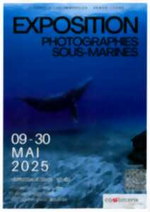 photo Exposition 