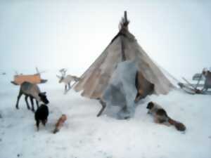 photo Projection cinématographique autour du cinéma Inuit