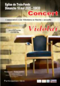 photo Concert de l'Ensemble vocal Vidolaï