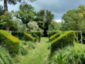 photo Visite du jardin