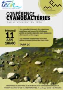 photo CONFÉRENCE SUR LES CYANOBACTÉRIES PAR LA SYNDICAT DU TECH