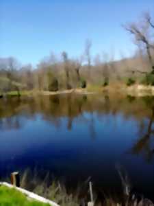 photo Pêche à la carpe