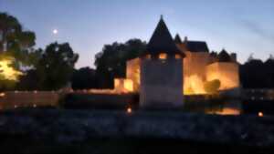 photo La Nuit des Musées : Visites guidées nocturnes