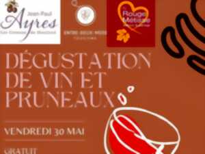 photo Dégustation de vin et pruneaux
