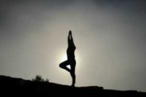 photo Garden Yoga