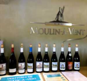 Bienvenue au caveau du cru Moulin-à-Vent