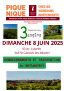 photo PIQUE-NIQUE VIGNERONS