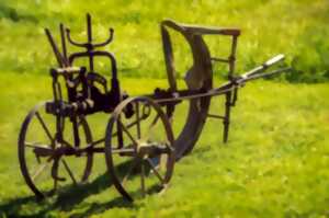 photo Les Rencontres de Printemps