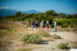 photo FETE DE LA NATURE -  LA RESERVE NATURELLE DU MAS LARRIEU-