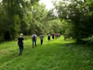photo Marche médiative sur le site naturel du Moron