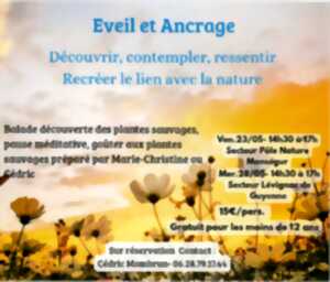 photo Eveil et Ancrage