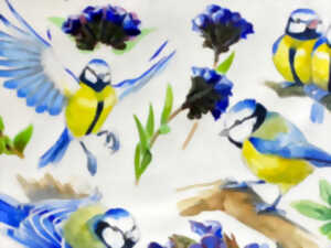 photo Dessin naturaliste en Brenne