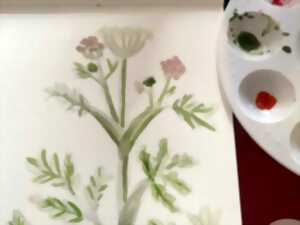 photo Atelier dessin botanique