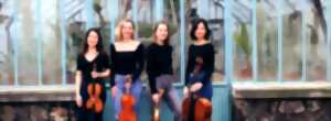 photo Nuit Beethoven - Quatuor Fidelio & Friends - Festival Saint-Céré