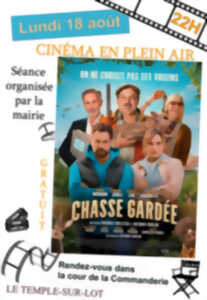 photo Cinéma plein-air : 