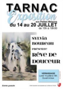 photo Exposition de Sylvia BOUREAU