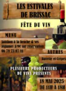 photo LES ESTIVALES DE BRISSAC
