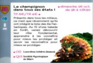 photo Les champignon dans tous ses états ! - sortie CPIE