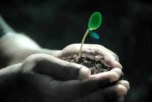 photo Bourse aux plantes