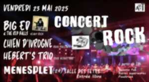 photo Concert de rock
