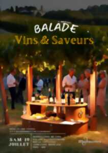 photo BALADE VINS & SAVEURS