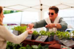 photo Grandes ventes de plants et de graines