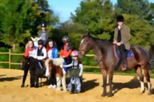 photo Été actif : Équitation/Balade à cheval