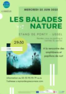 A la rencontre des amphibiens et papillons de nuit