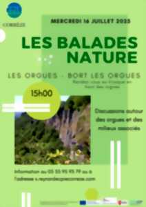 Autour des orgues et des milieux associés