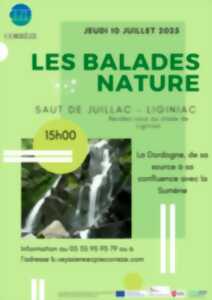Saut de Juillac - La Dordogne, de sa source à sa confluence avec la Sumène