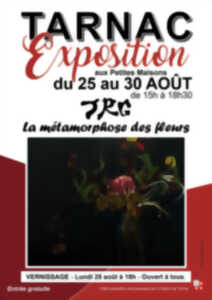 photo Exposition de JRG