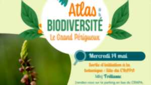 photo Atlas de la Biodiversité :  Sortie d'Initiation à la botanique : Site du CRAPA