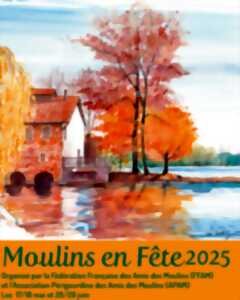 photo Moulins en fête | Moulins Blanc