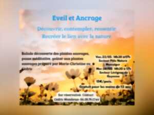 Eveil et Ancrage
